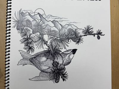 Mountain Flash: A Journey Through Ink