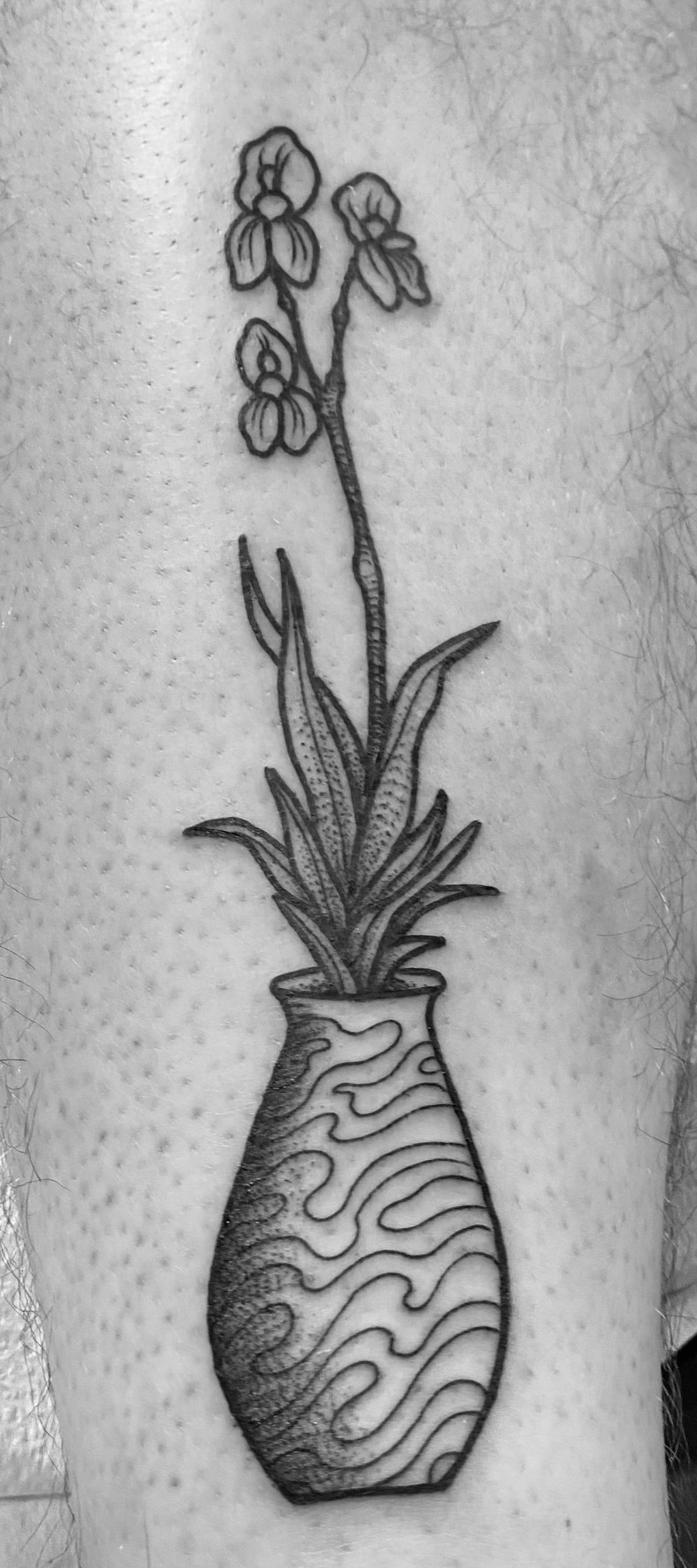 Potted Orchid in Japanese Vase