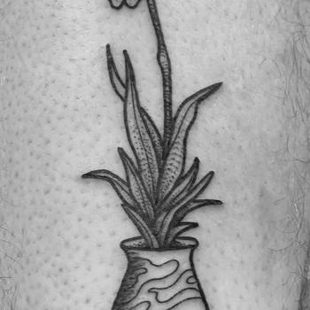 Potted Orchid in Japanese Vase