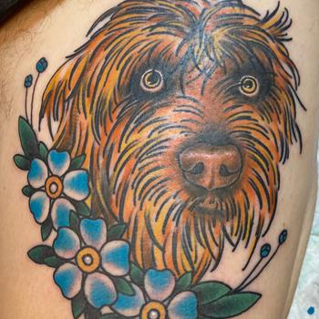 German Wirehaired Dog in Wild Roses