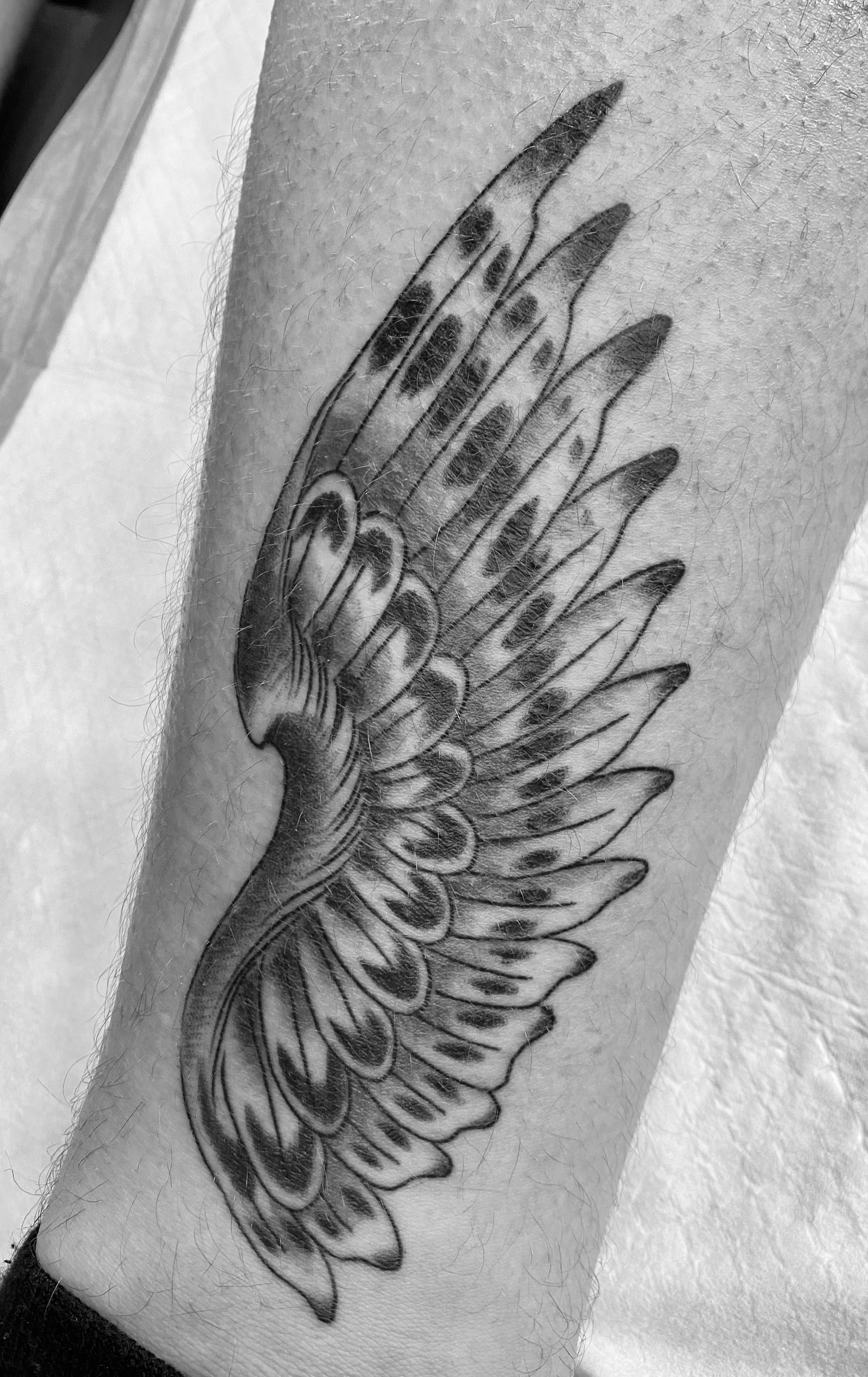 Elegant Falcon Wing Tattoo