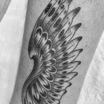 Elegant Falcon Wing Tattoo