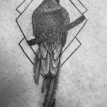 Majestic Quetzal: A Tribute in Ink