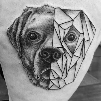 Duality of Canine Beauty