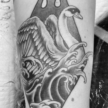 Swan in Diamond Frame