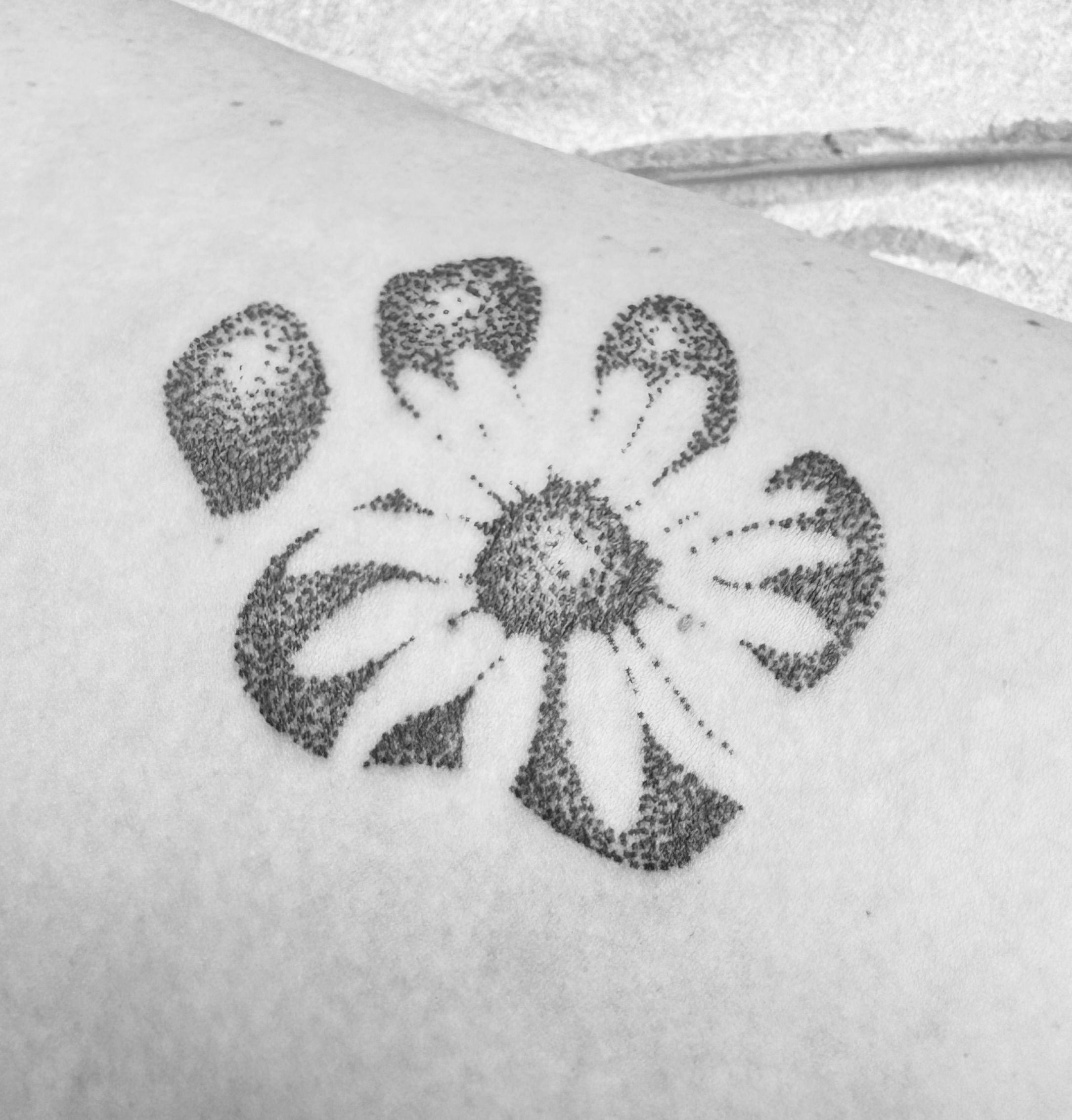 Soft Stipple Paw Print with Daisies