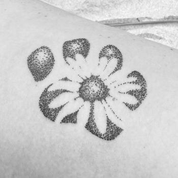 Soft Stipple Paw Print with Daisies