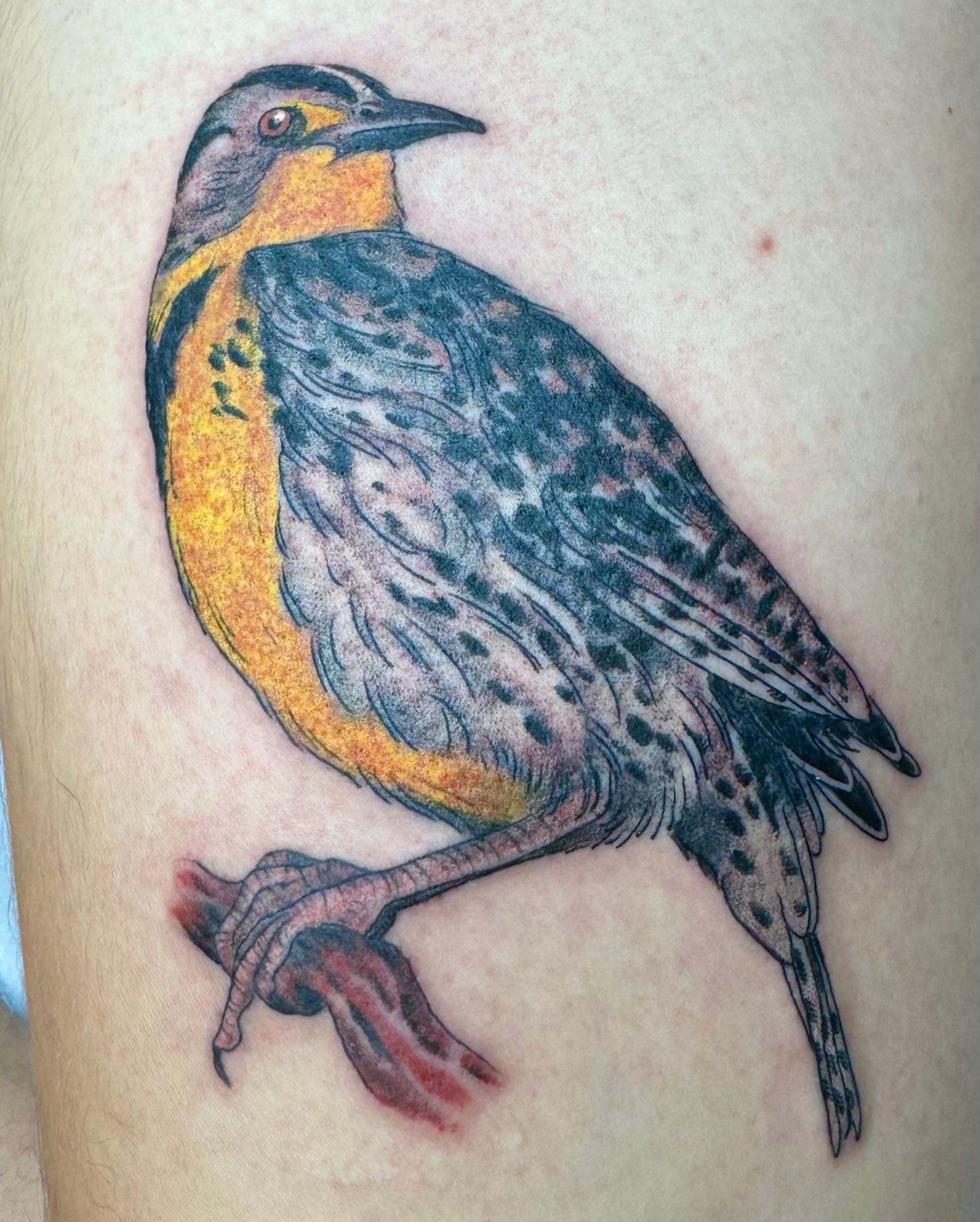 Eastern Meadowlark Tattoo