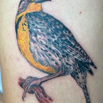 Eastern Meadowlark Tattoo