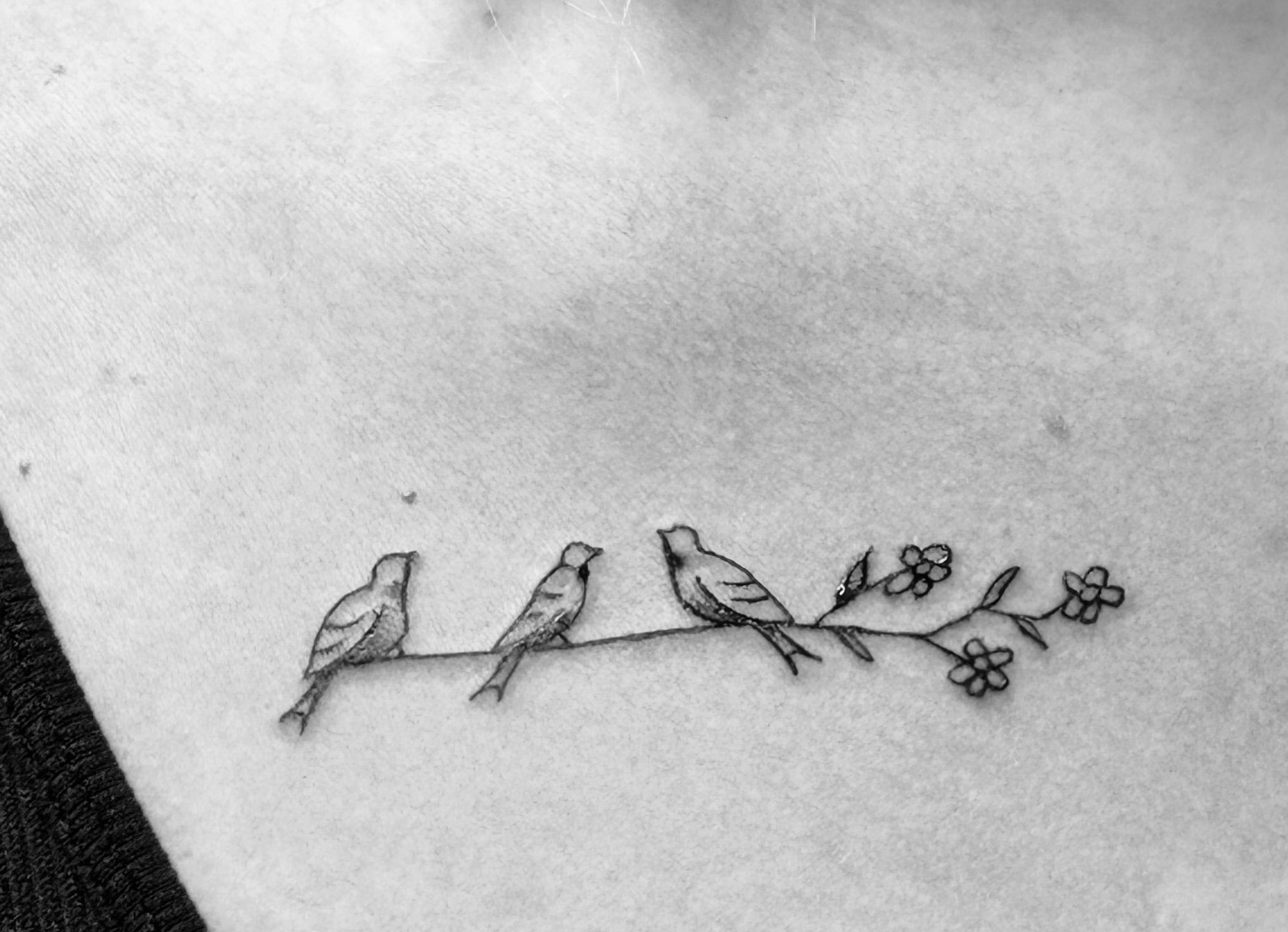 Three Birds on a Branch