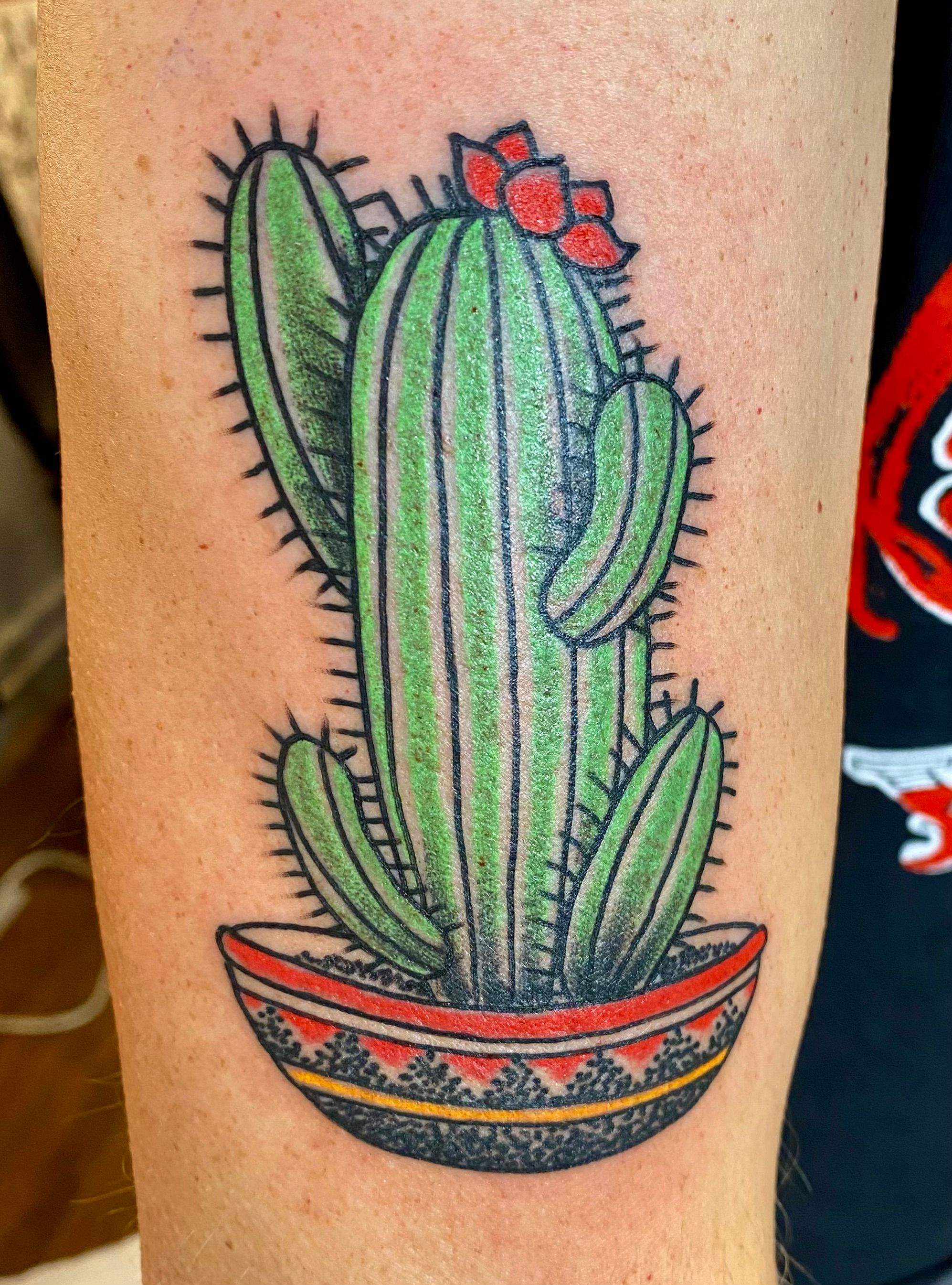 Cactus in Southwestern Pot