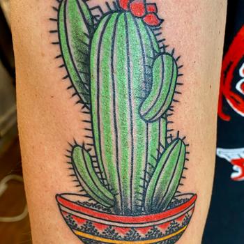 Cactus in Southwestern Pot